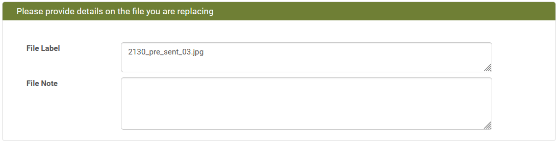 Dialog "Please provide details on the file you are replacing"