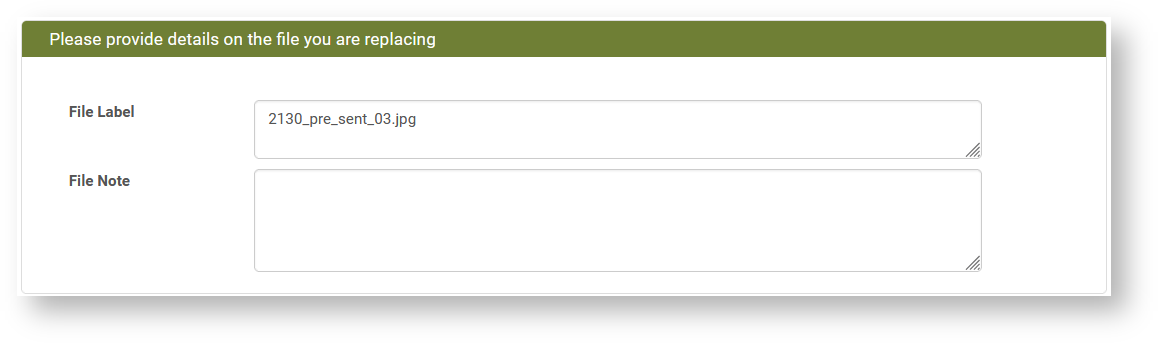 Dialog "Please provide details on the file you are replacing"