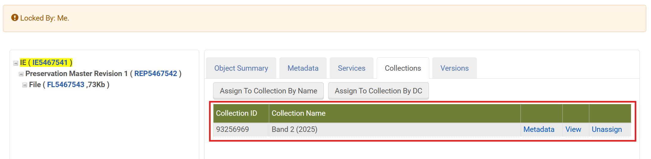 Screenshot: Collection Tab mit neuer Collection
