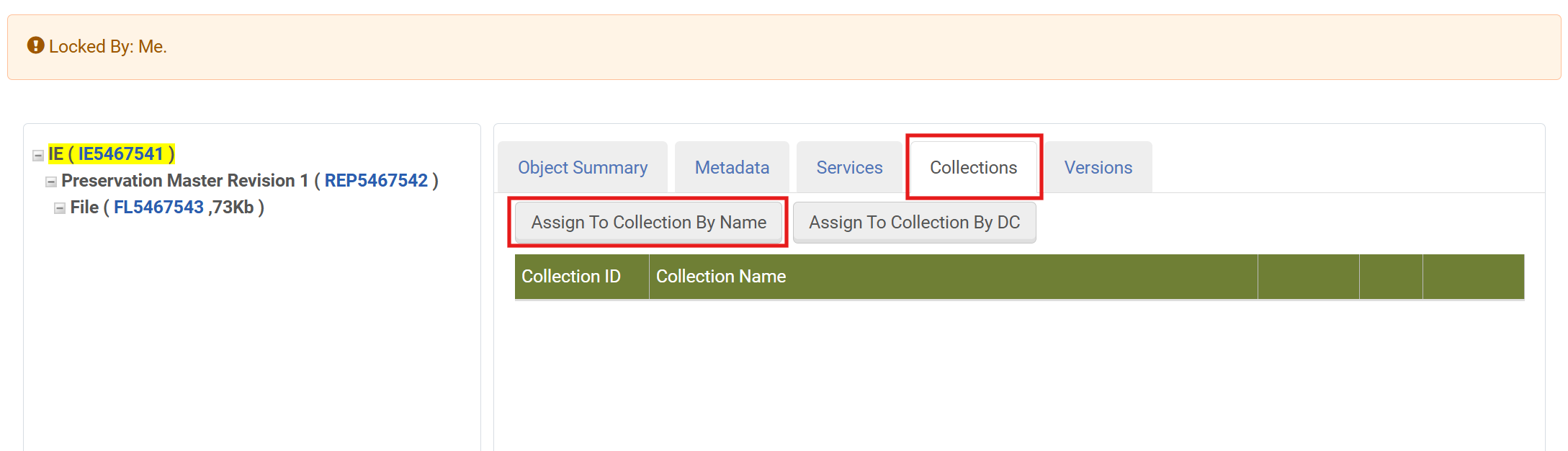 Screenshot: Assign Collection by Name Button