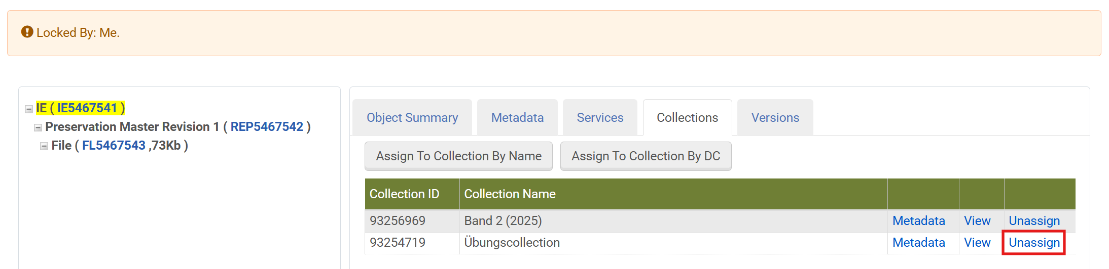 Screenshot: Unassign IE