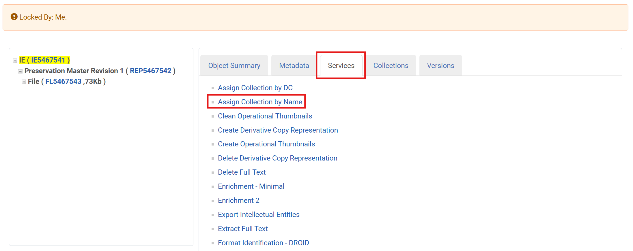 Screenshot: Assign Collection by Name Service